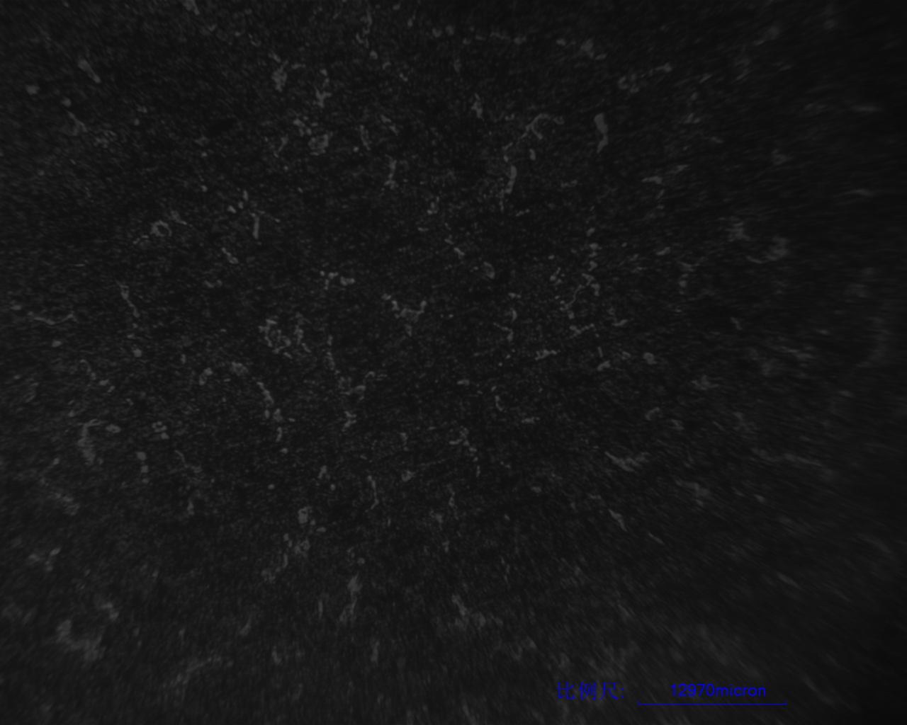 香港宝典全年资料大全2024