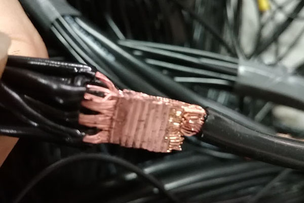 香港宝典全年资料大全2024