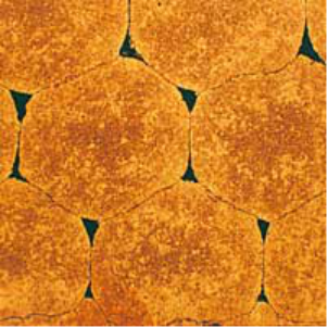 香港宝典全年资料大全2024